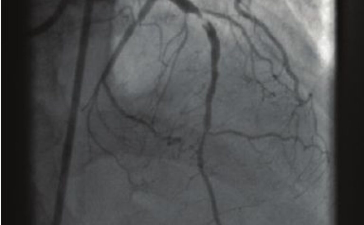 WhatsApp Image 2025-03-04 at 14.57.44