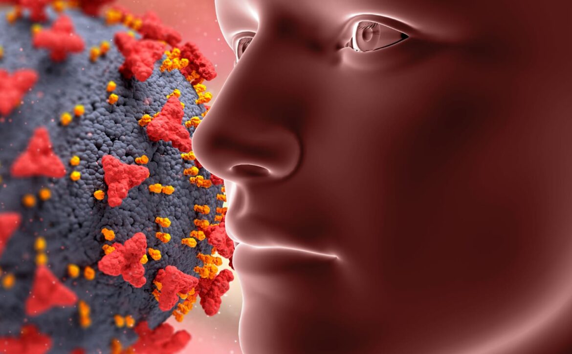 فيروس الحلمات اللحميه